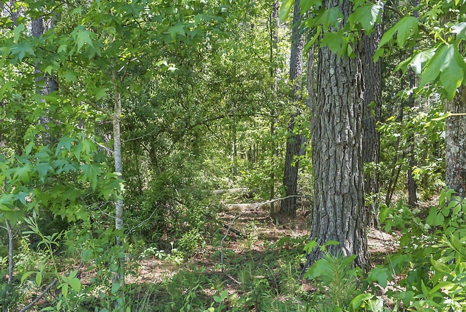 Sugeree Dr, Moncks Corner, SC 29461