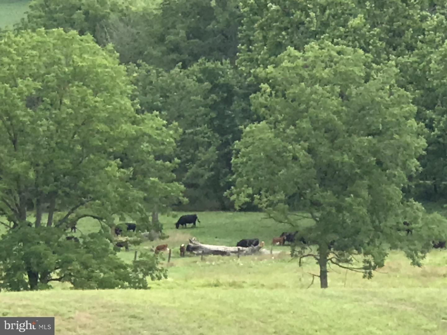Uniontown Rd, Westminster, MD 21158