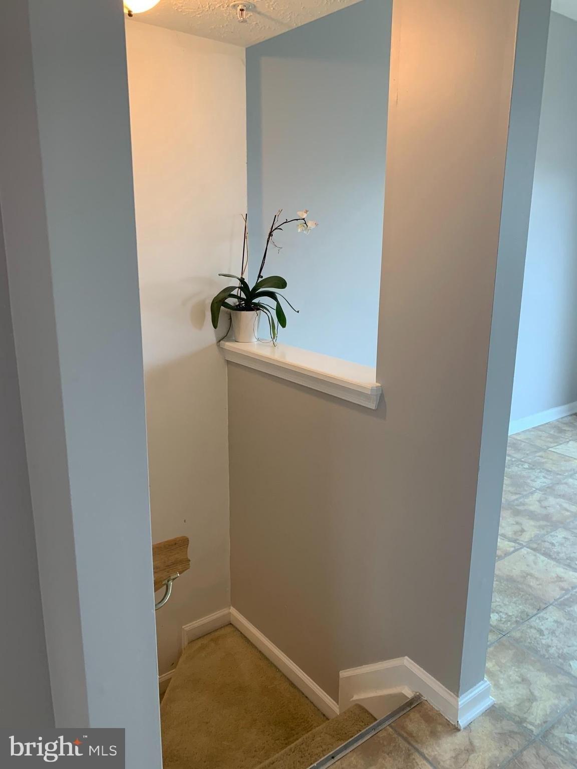 Cypress Grove Ct, Owings Mills, MD 21117
