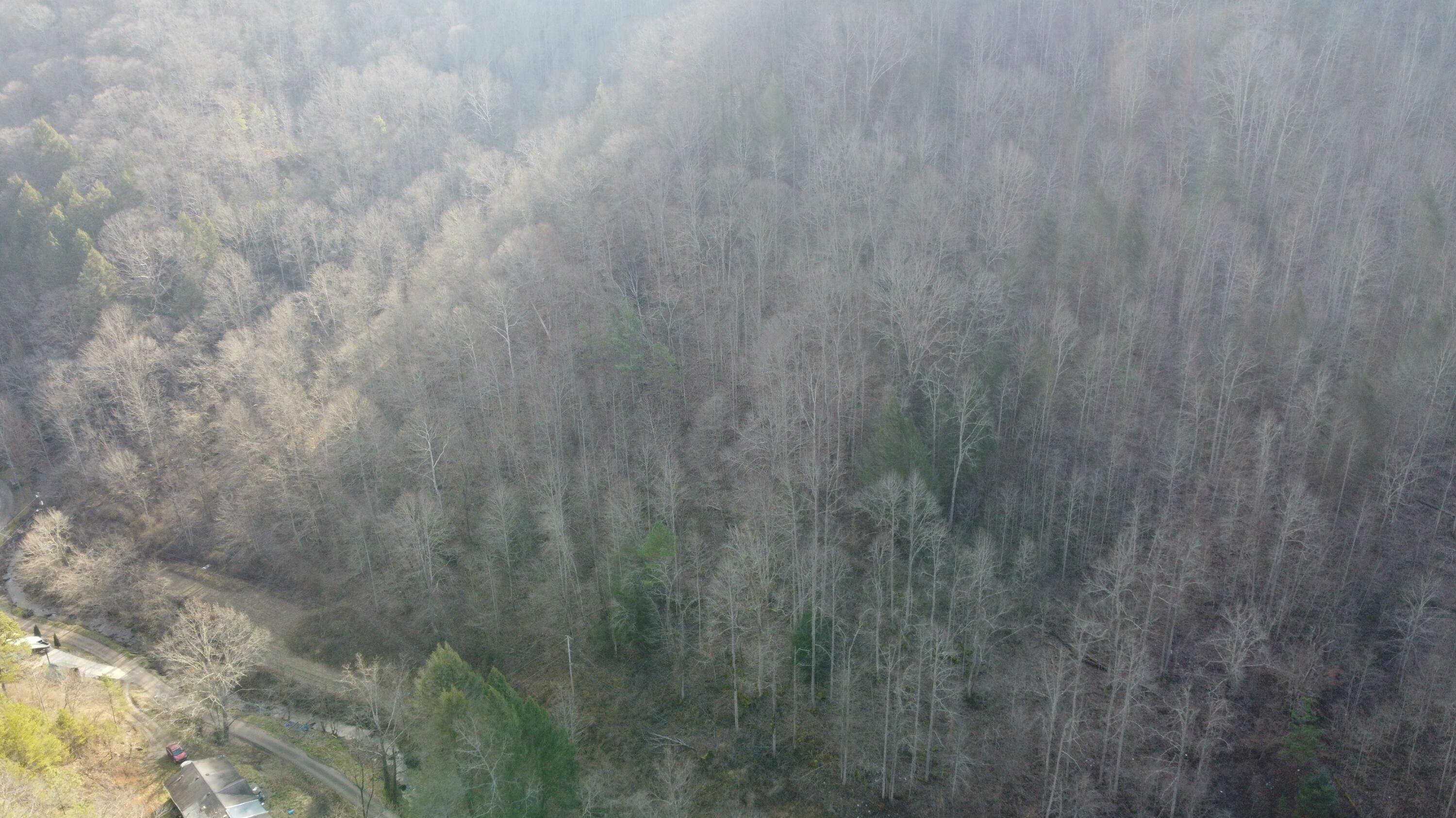 Crystal Ln, Wooton, KY 41776