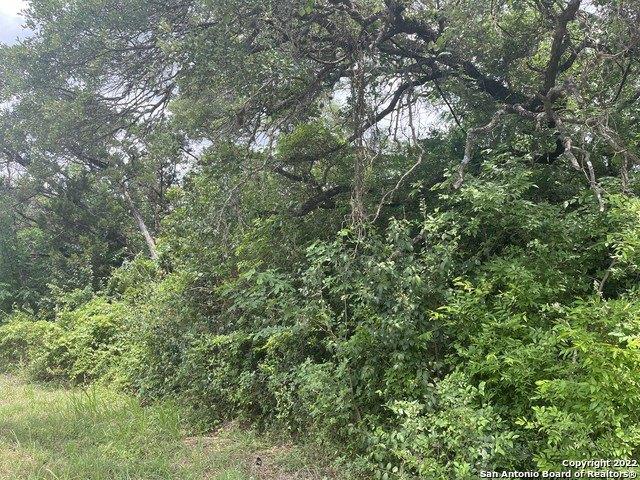 Nakoosa Dr, San Antonio, TX 78260