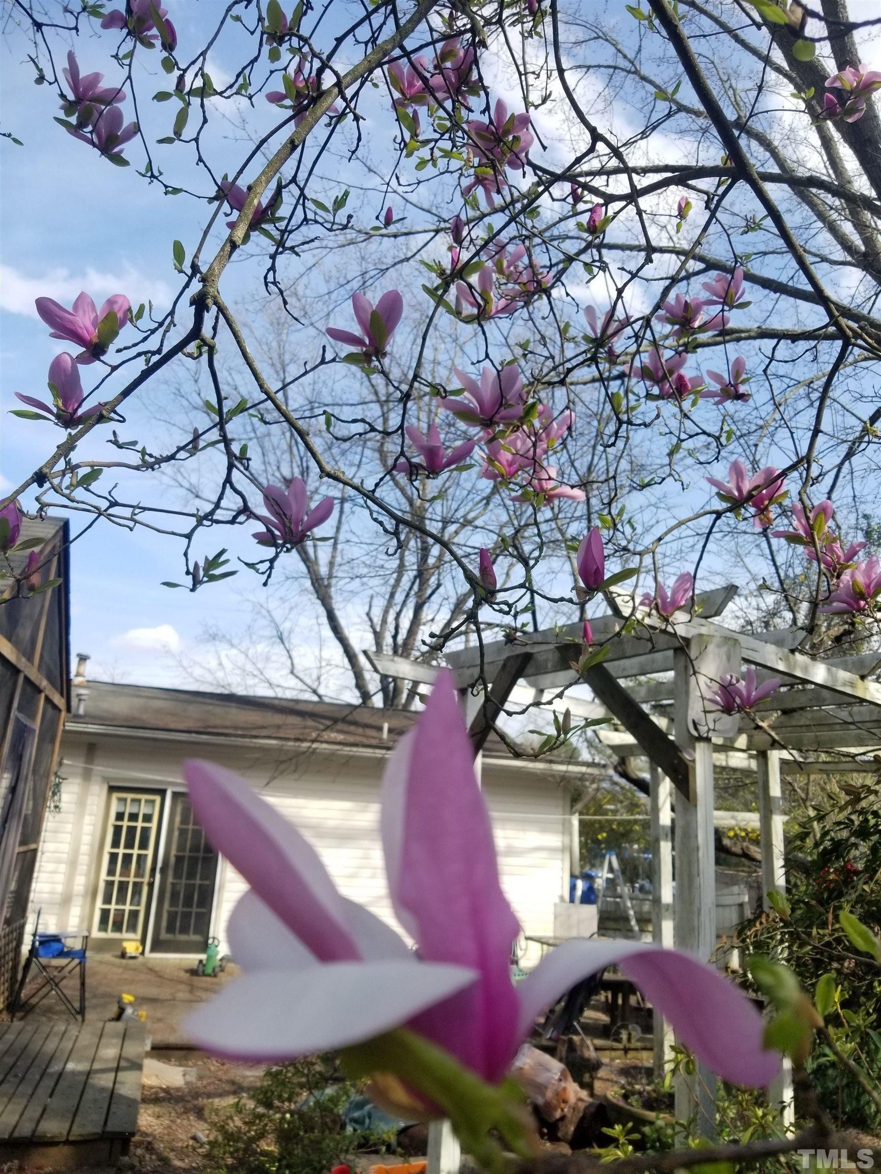 Carolina Ave, Durham, NC 27705
