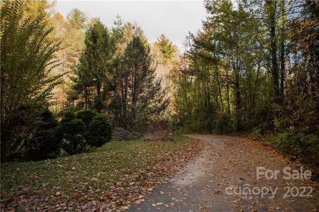 Carolina Hills Dr, Horse Shoe, NC 28742