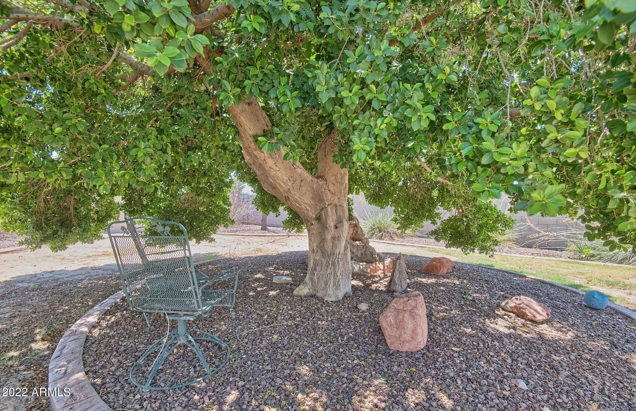 E Paradise Ln, Phoenix, AZ 85022