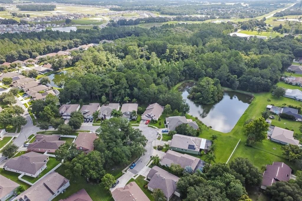 Bramble Bush Ct, Zephyrhills, FL 33541
