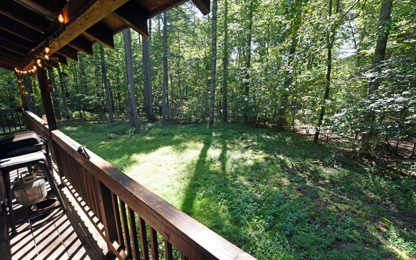 Big Tree Rd, Suches, GA 30572