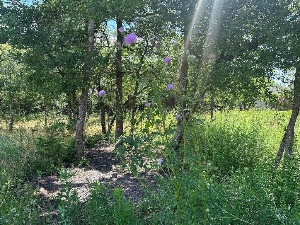 Southern Oaks Dr, Royse City, TX 75189