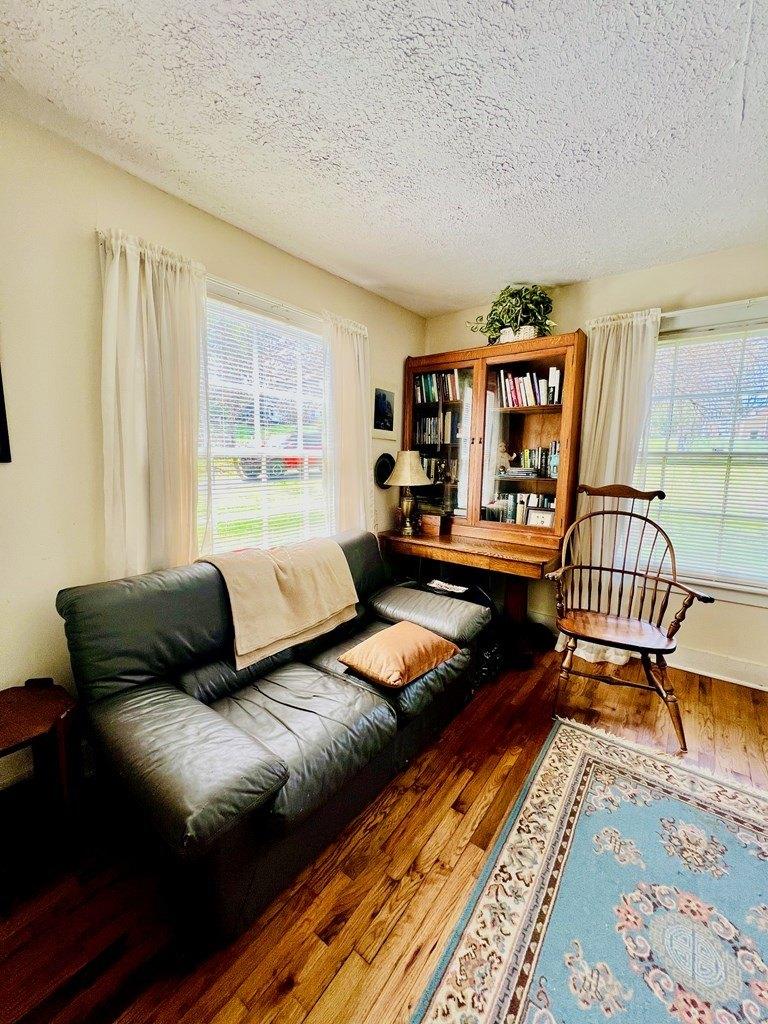 Alewine Ave, Tallapoosa, GA 30176