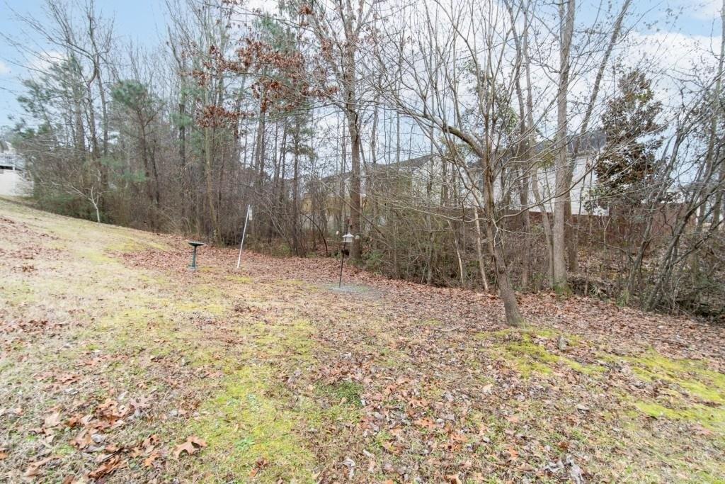 Remington Place Blvd, Dallas, GA 30157