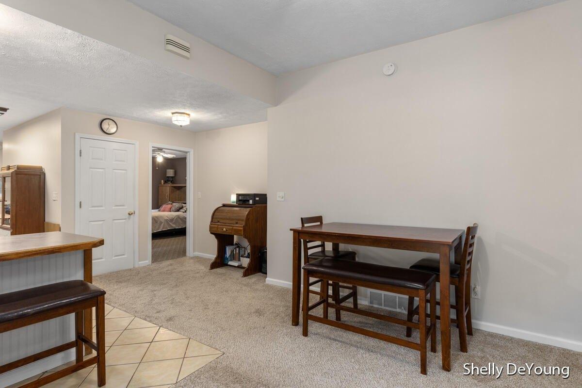 Mill St, Ionia, MI 48846