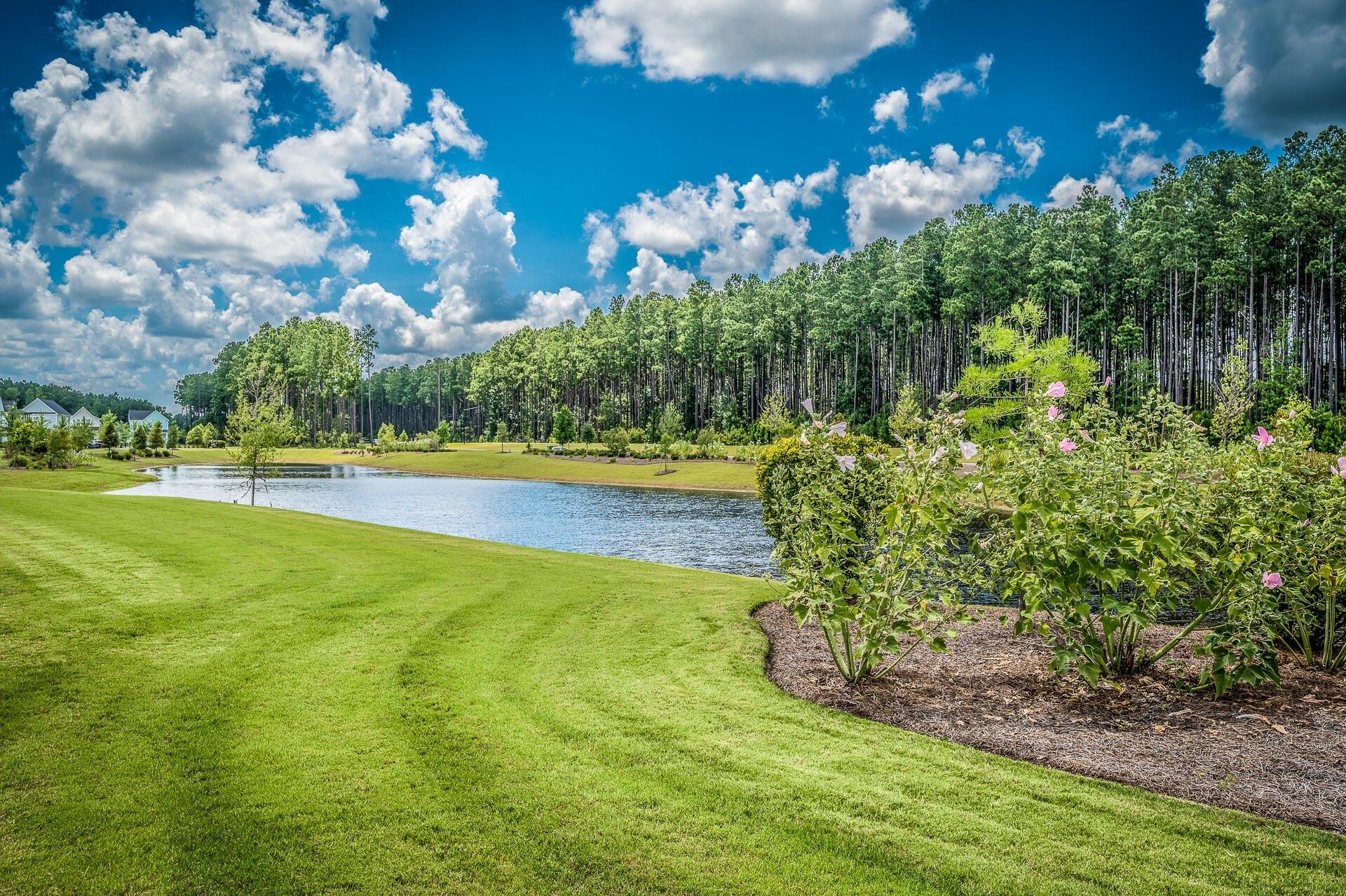 Trailview Ln, Summerville, SC 29486