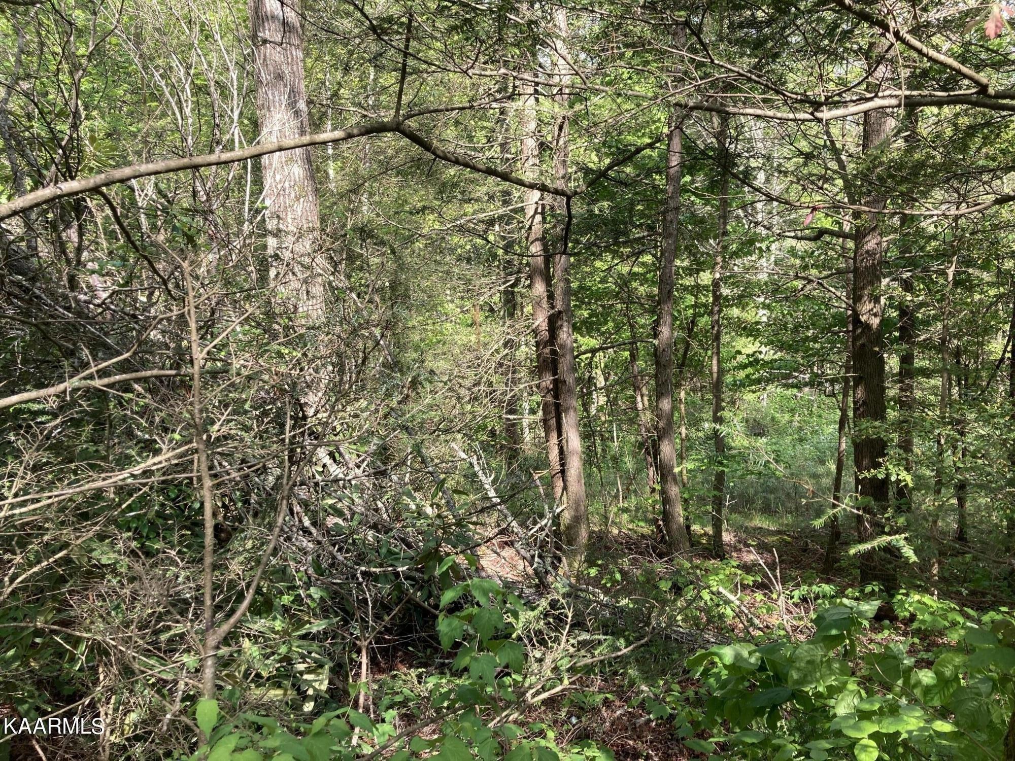 Mcjunkin Rd, Tellico Plains, TN 37385