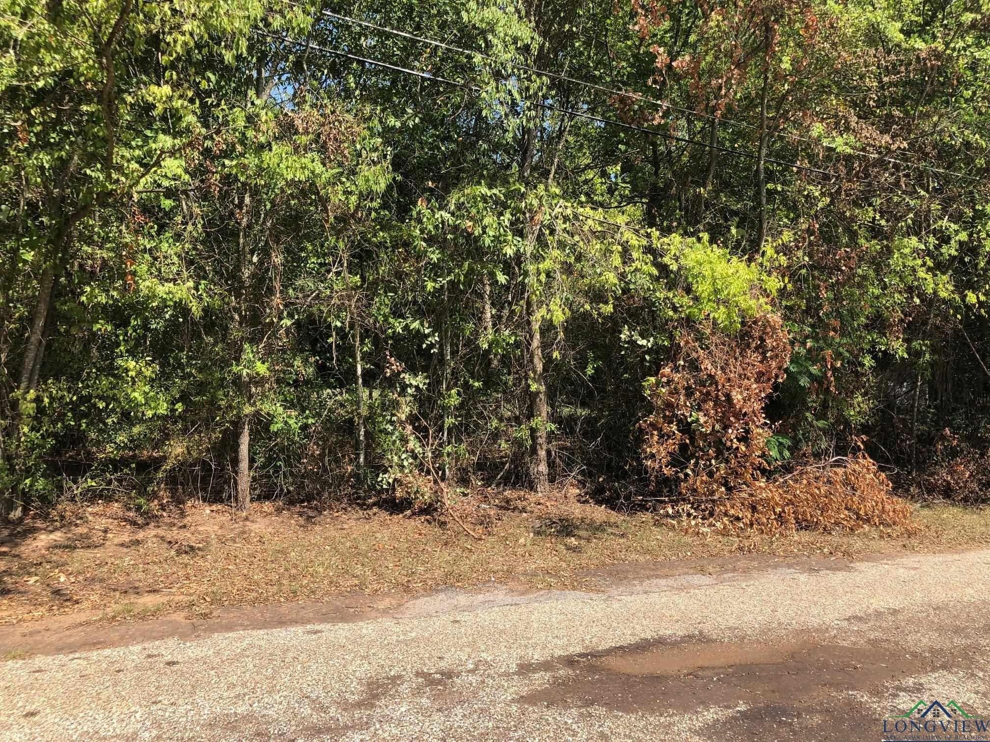 Jones St, Longview, TX 75601