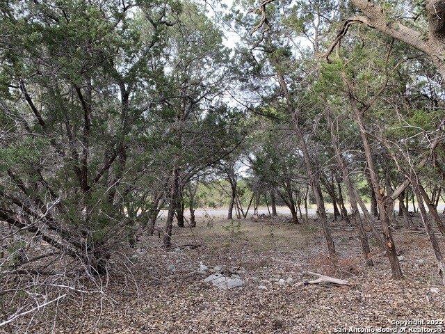 Andalusia, Canyon Lake, TX 78133