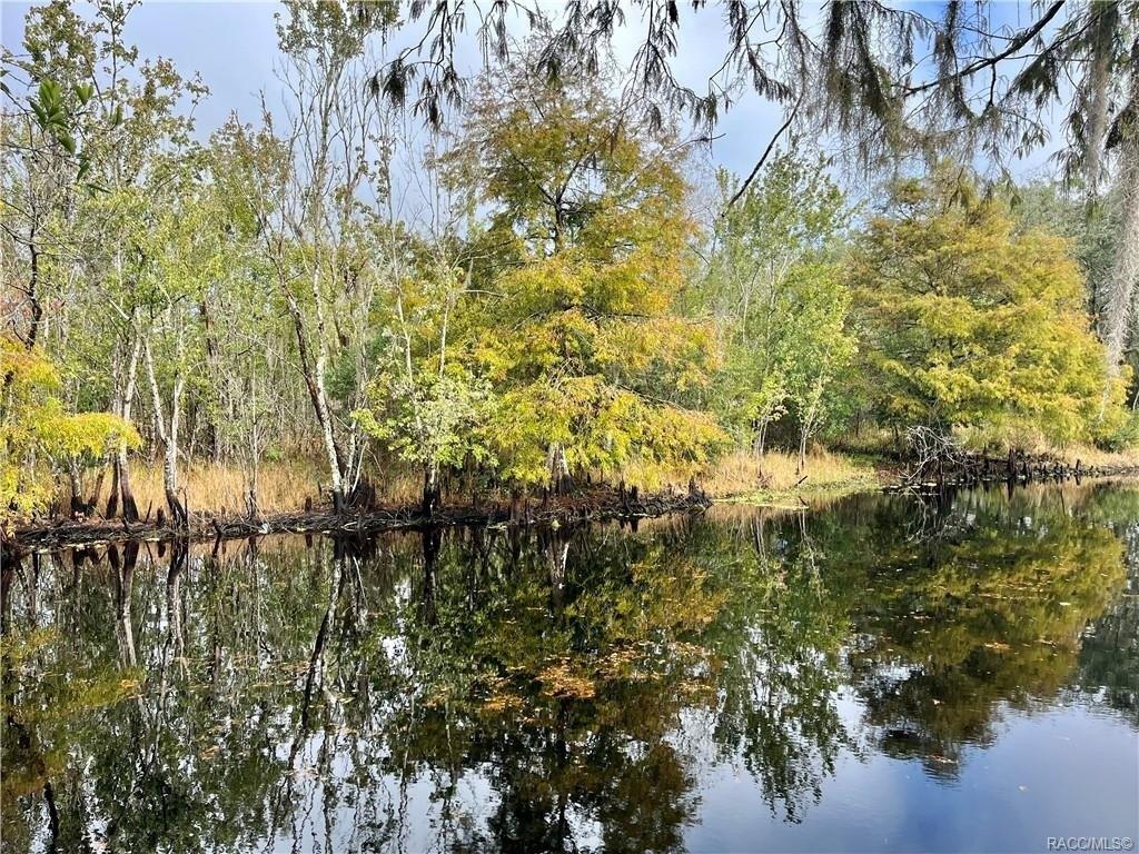 E Tarpon Ct, Floral City, FL 34436