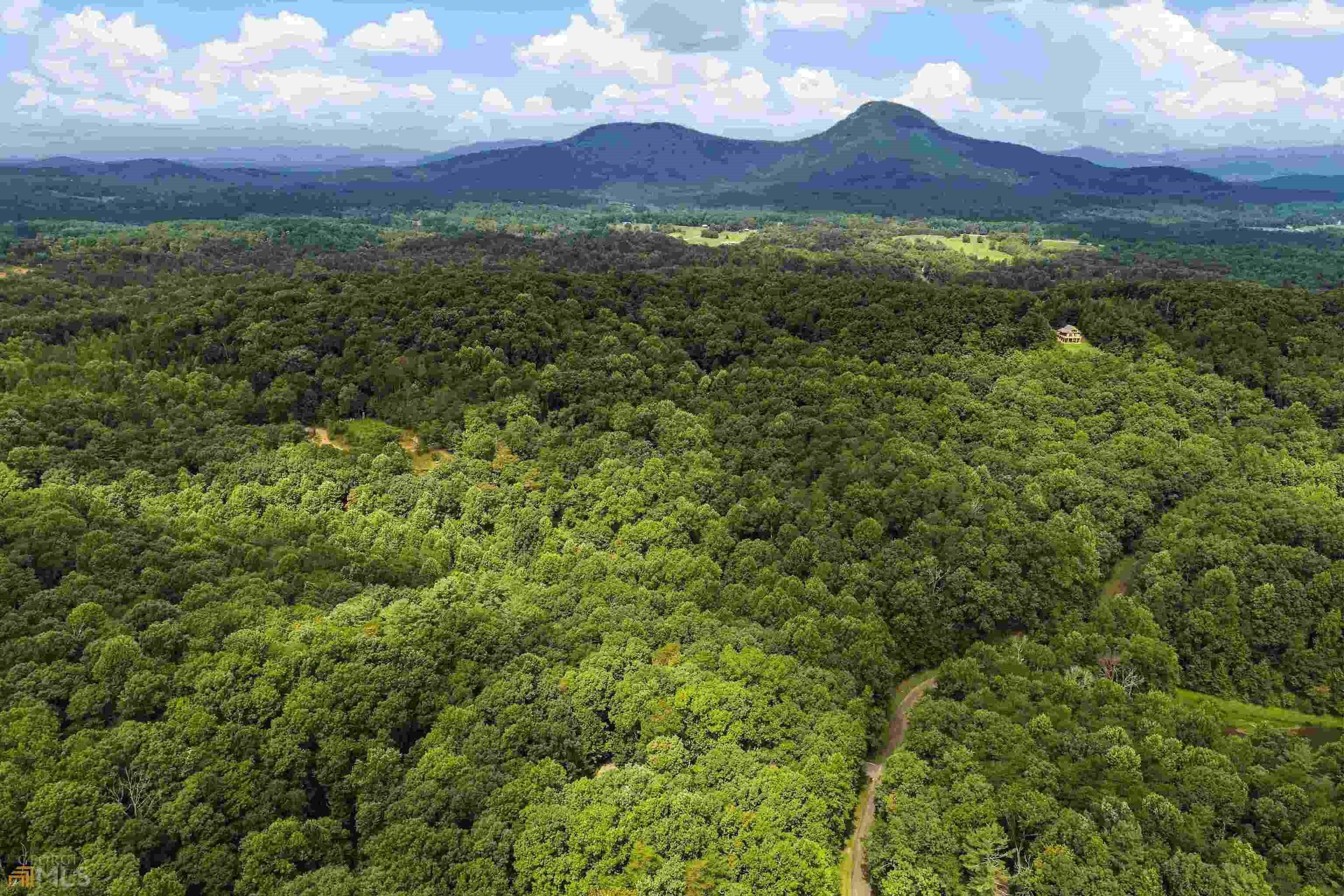 Ivy Hills Dr, Cleveland, GA 30528