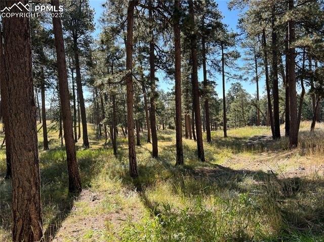 Connaught Dr, Colorado Springs, CO 80908