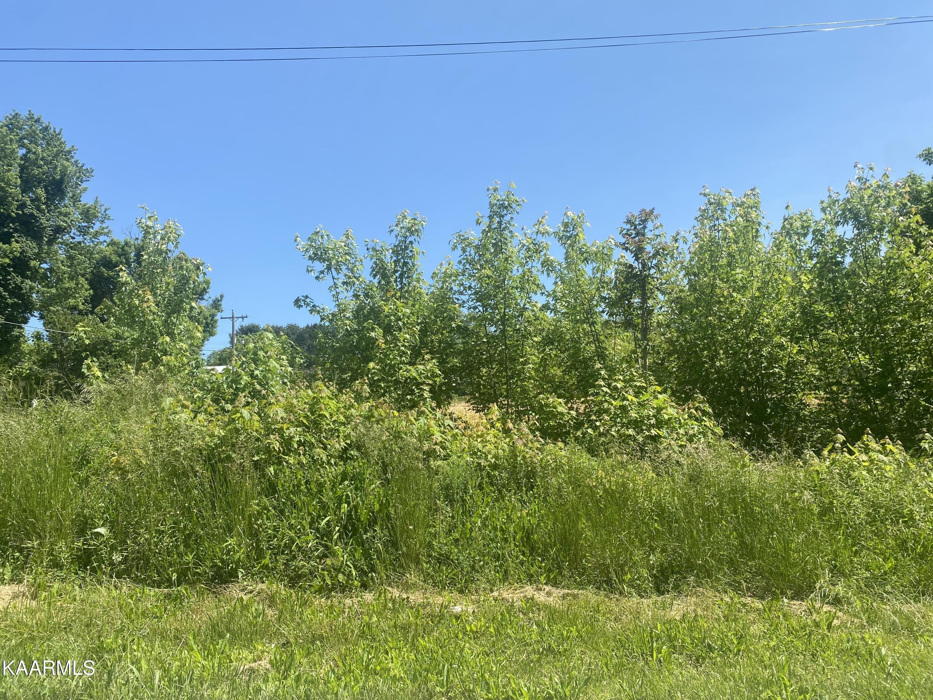 E Hemlock St, La Follette, TN 37766
