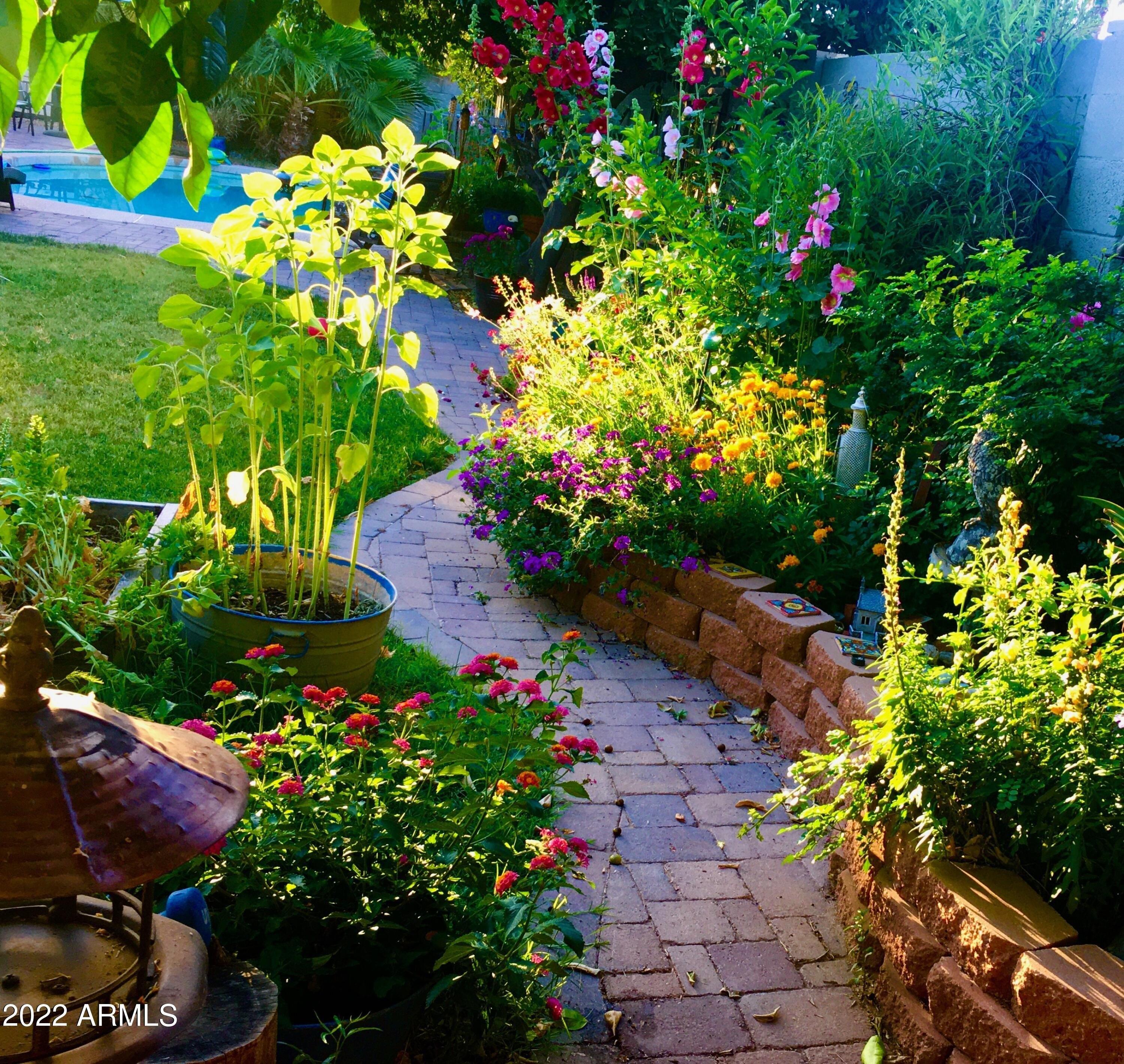 E Hearn Rd, Scottsdale, AZ 85254