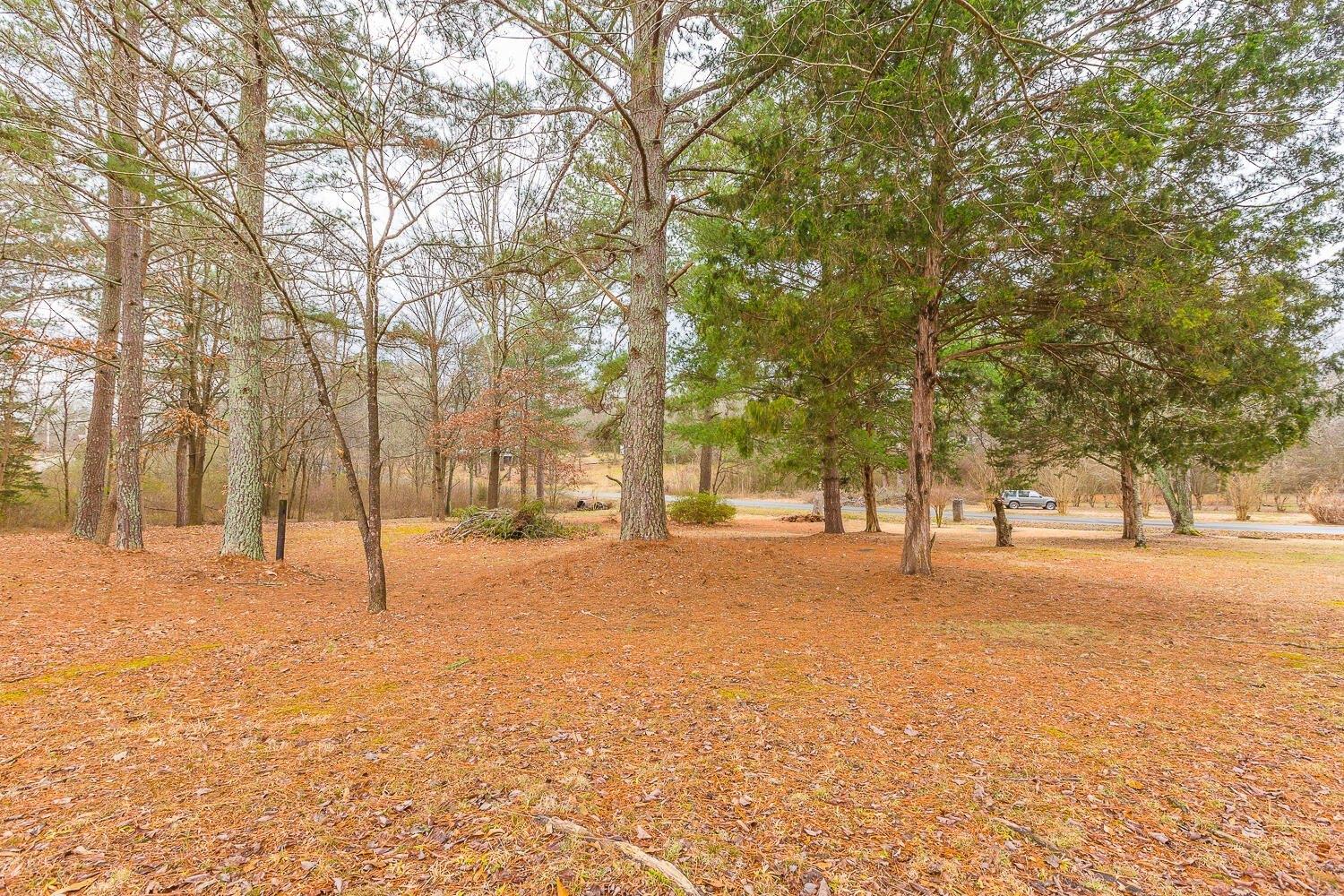 Catalina Dr, Chatsworth, GA 30705