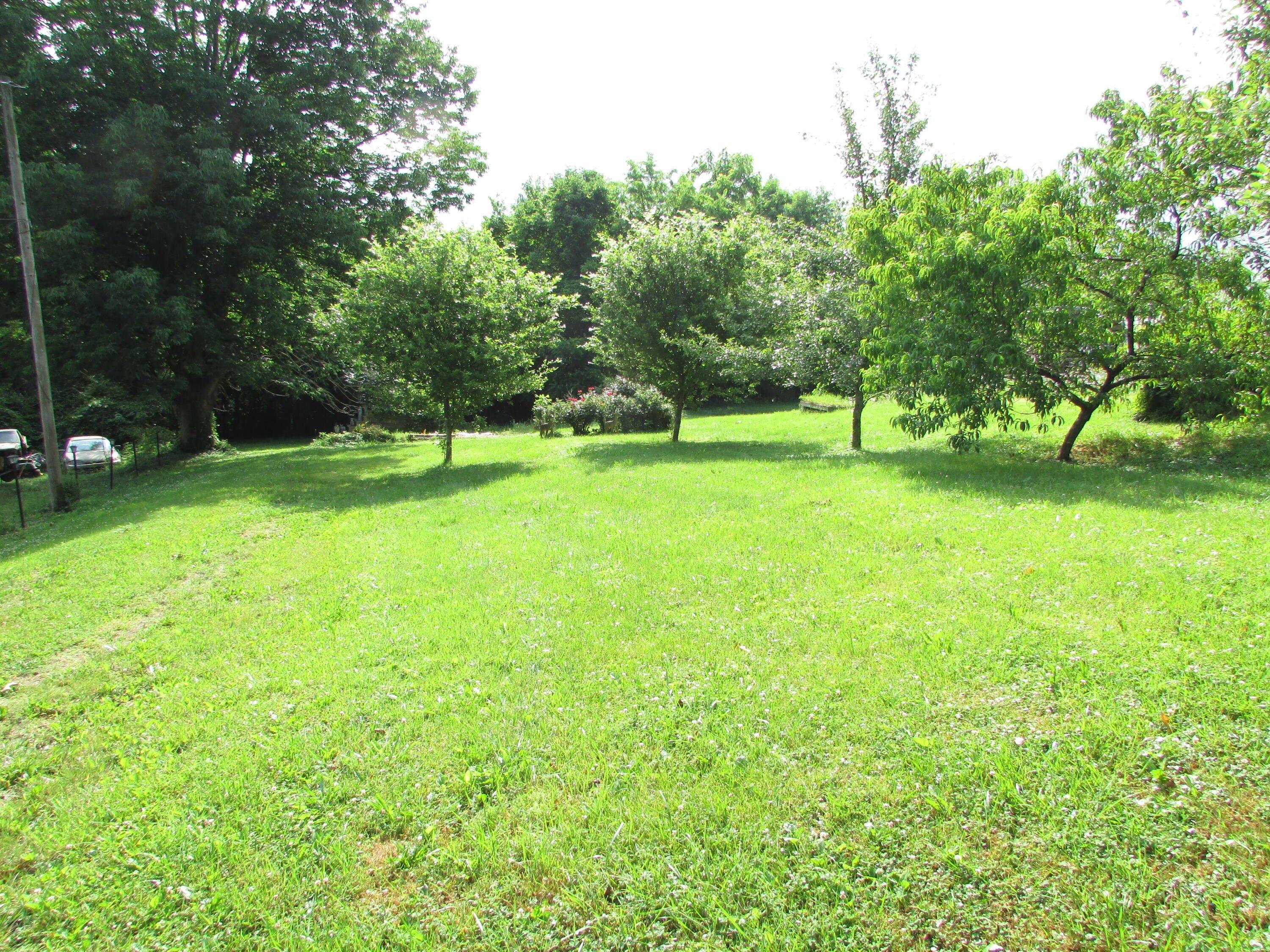 Grove St, Elizabethton, TN 37643