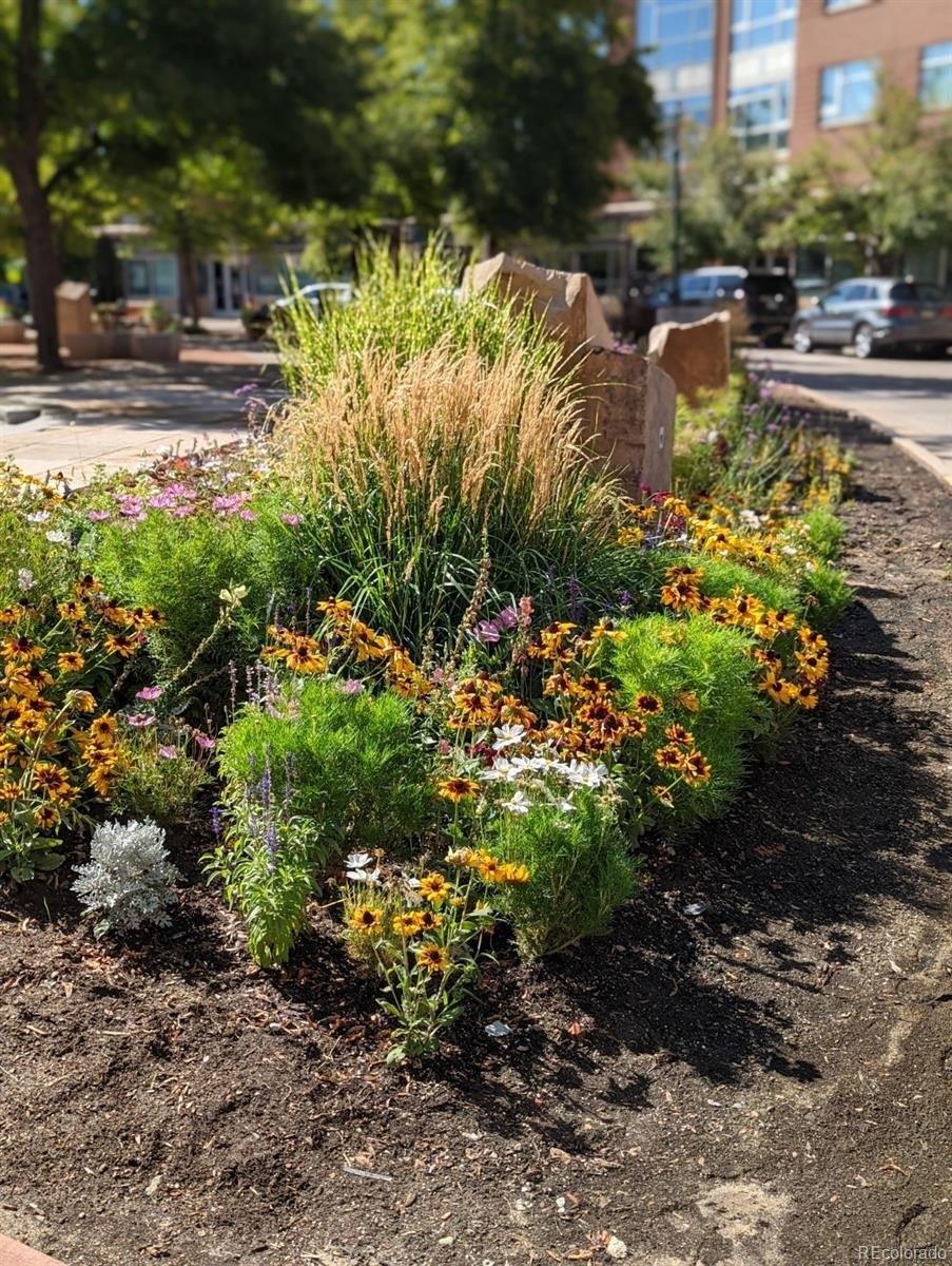 Newport St, Denver, CO 80207