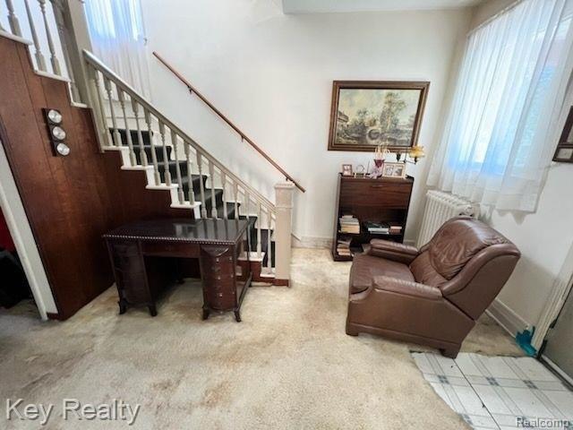 Myrtle St, River Rouge, MI 48218