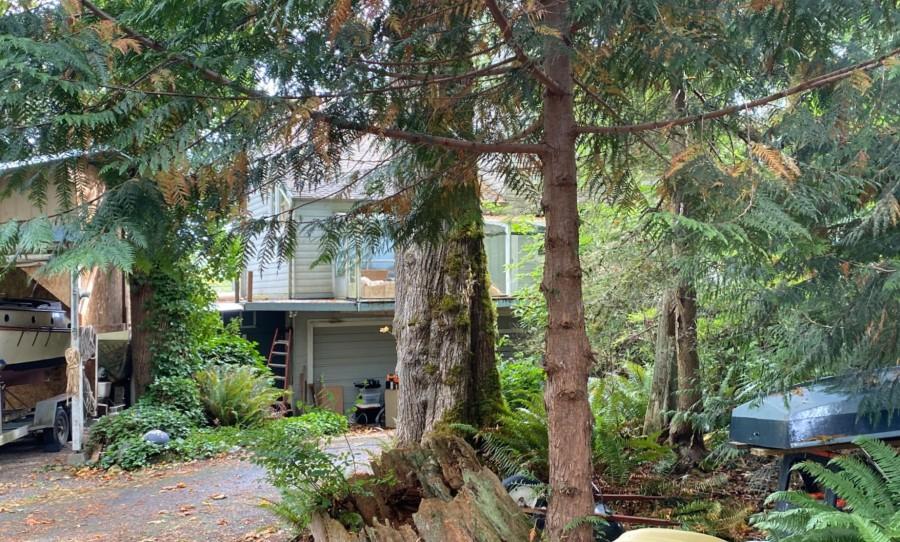 Fleet Dr, Port Ludlow, WA 98365