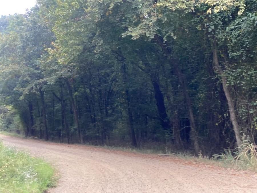 County Road 1640, Knoxville, AR 72845