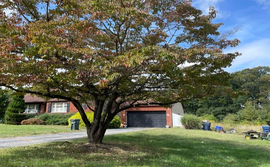 Janvier Rd, Williamstown, NJ 08094