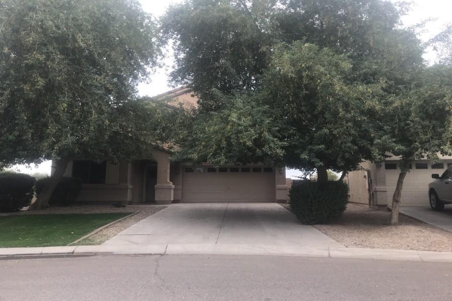N Murray Grey Dr, San Tan Valley, AZ 85143