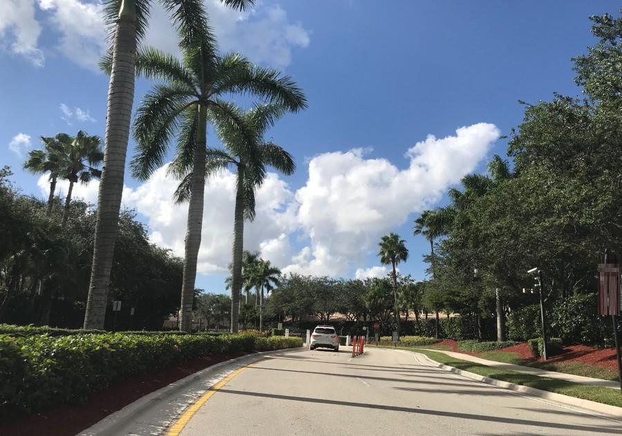 Tree Top Dr, Weston, FL 33332