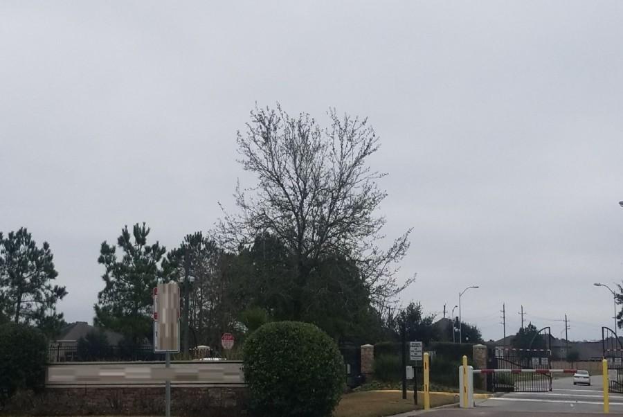 Layton Ridge Dr, Humble, TX 77396