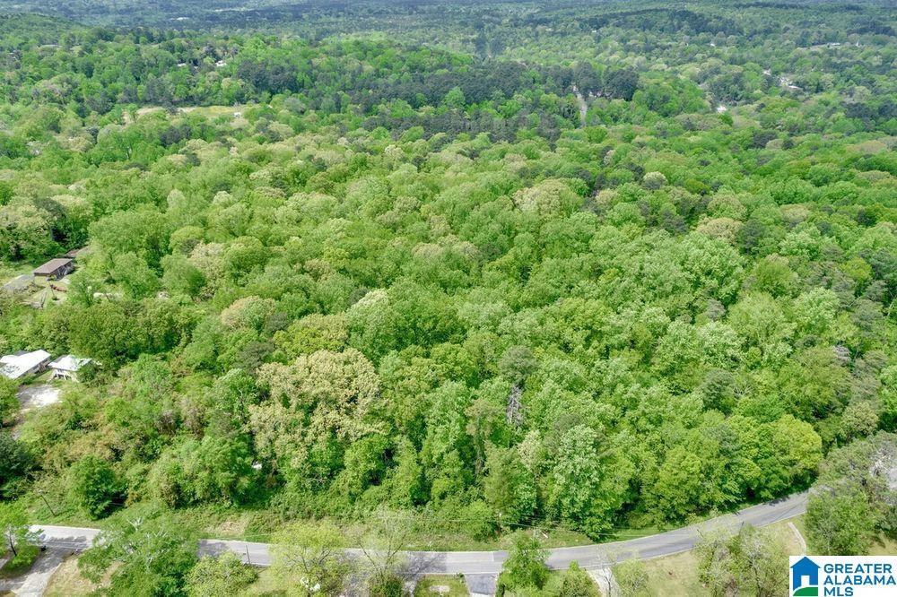 Haven Dr, Birmingham, AL 35214