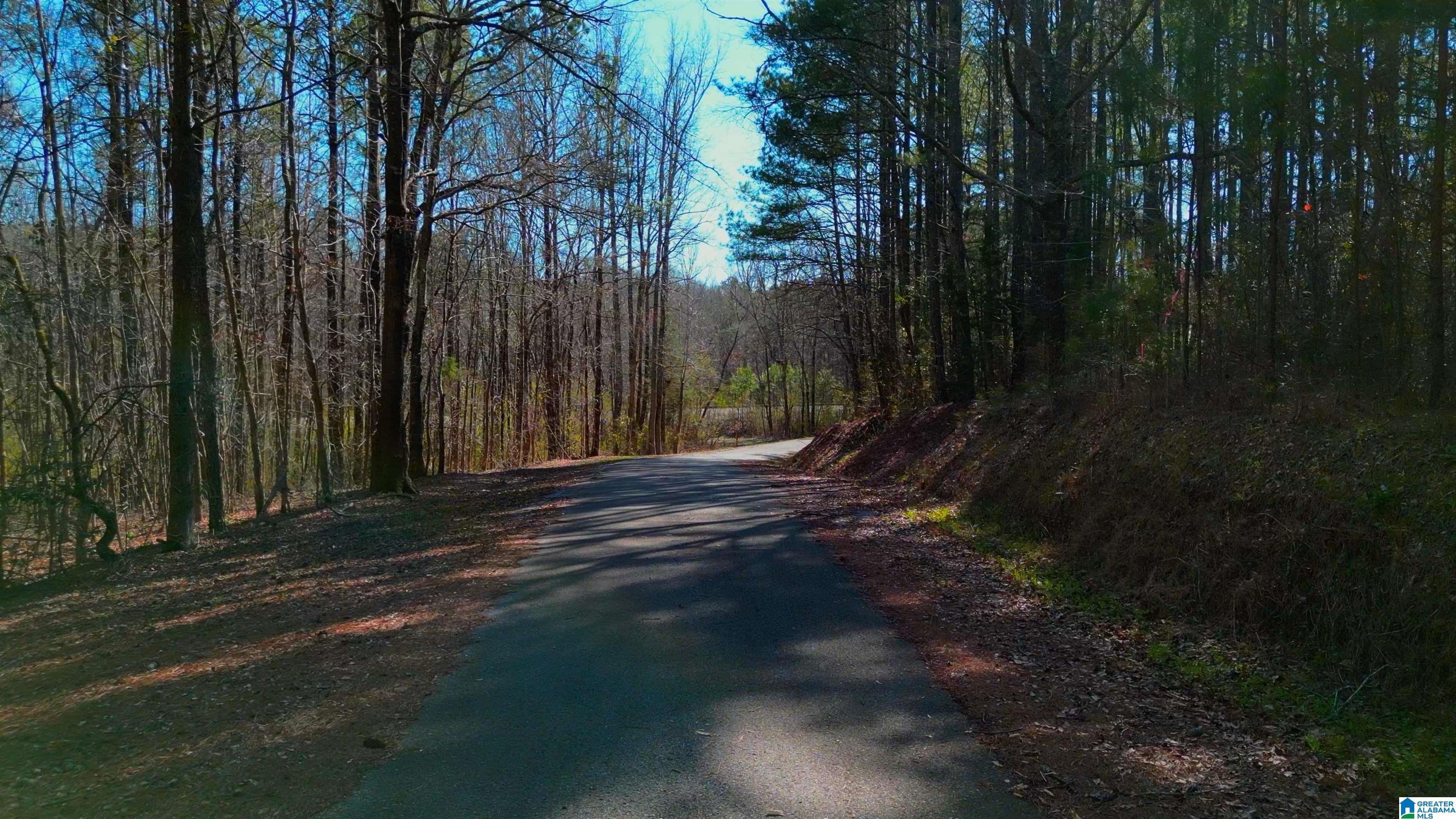 Mountain Crest Rd, Chelsea, AL 35043