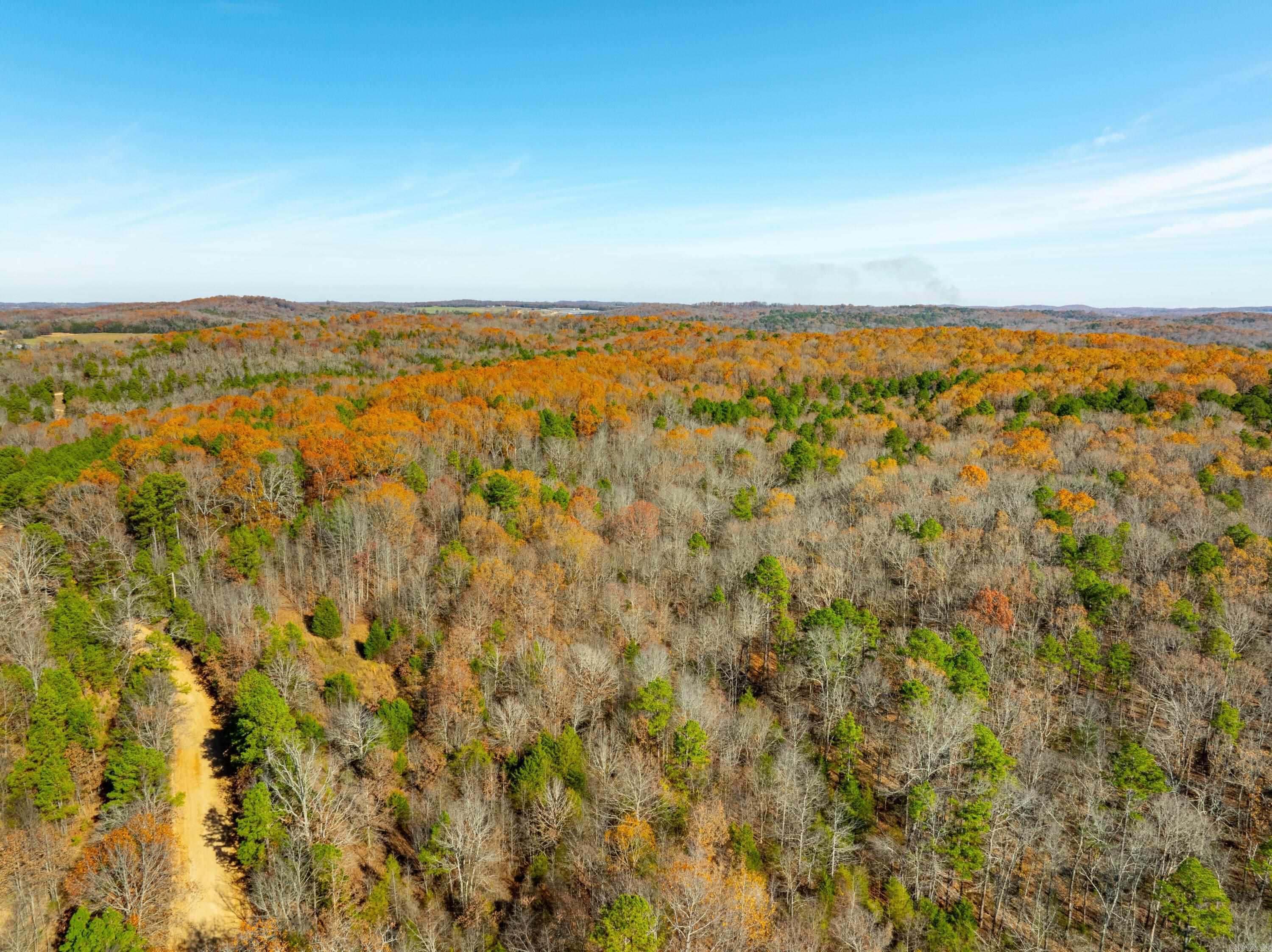 Peter Martin Hill Rd, Cave City, AR 72521