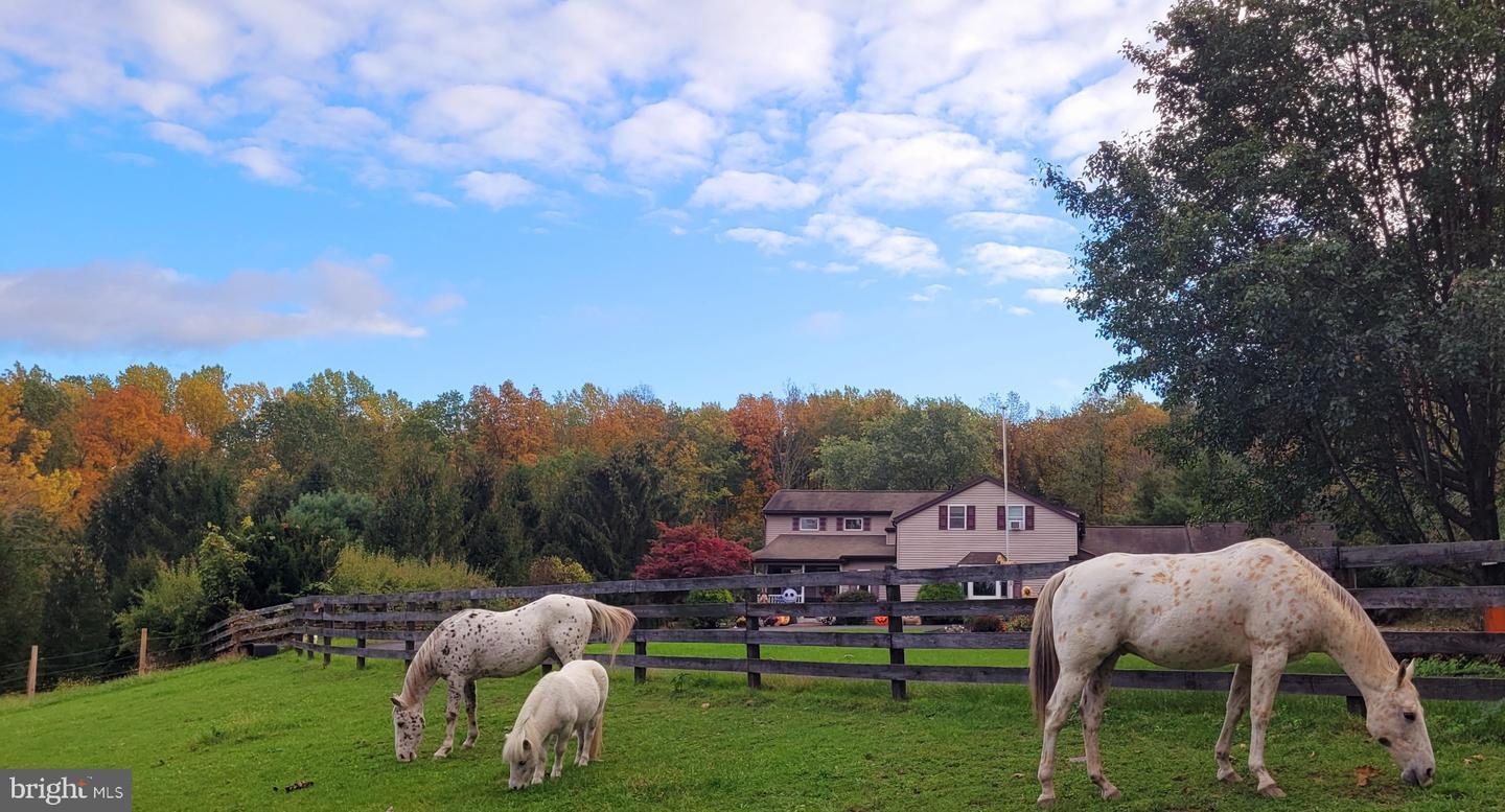 Sonny Ln, Richlandtown, PA 18955