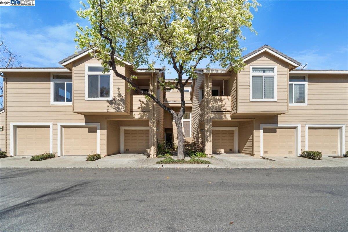 Fairbanks Cmn, Fremont, CA 94555