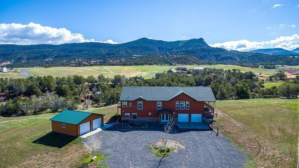 S Ouray Ct, Collbran, CO 81624