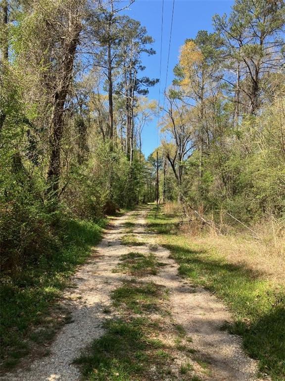 Highway 16, Franklinton, LA 70438