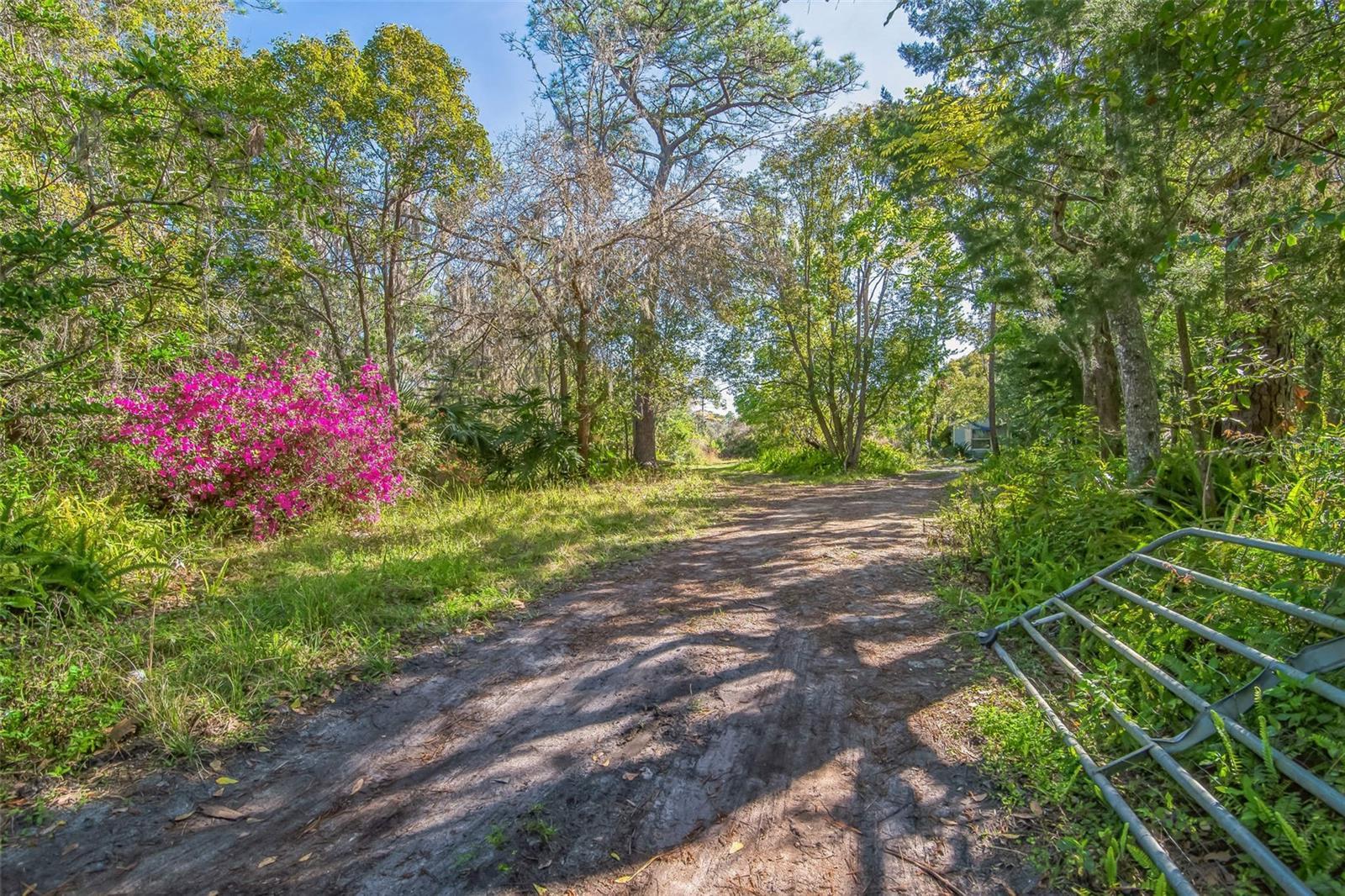 Harney Heights Rd, Geneva, FL 32732