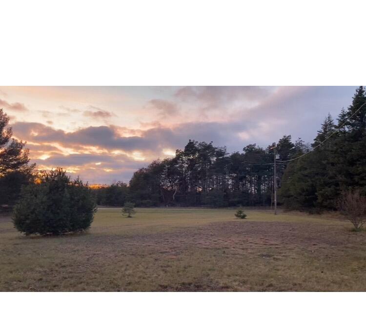 N Thornapple Ave, White Cloud, MI 49349