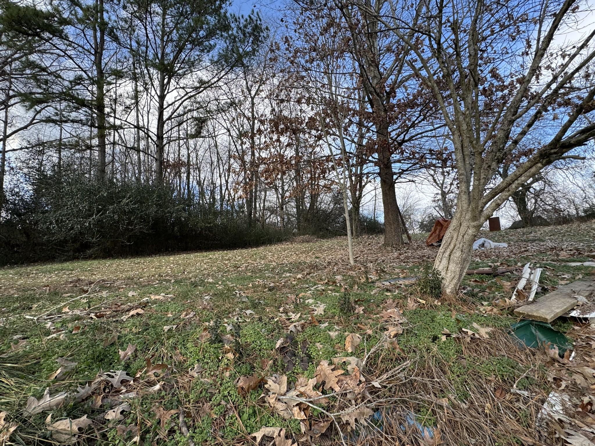 Conger St, Cumberland City, TN 37050