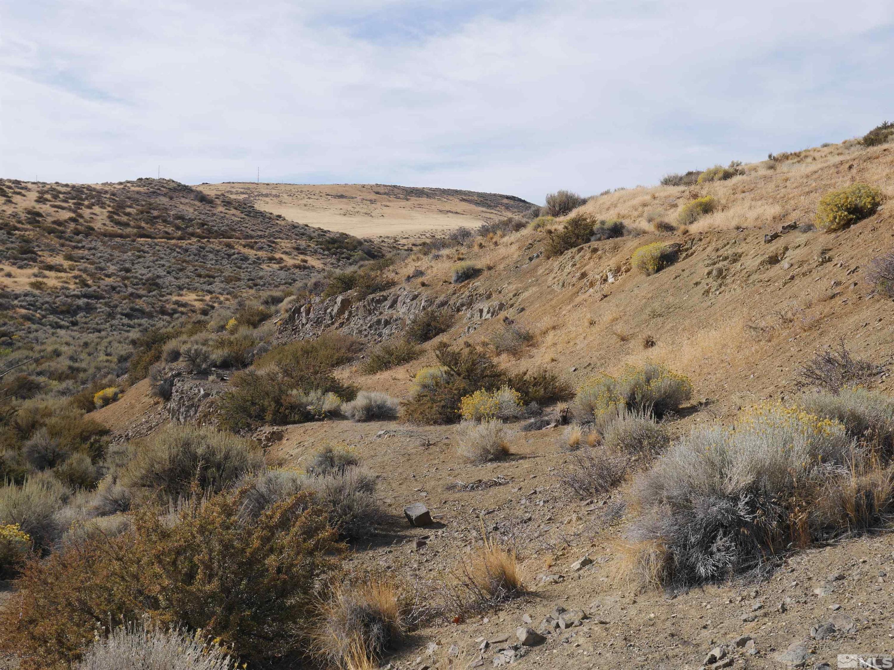N Virginia St, Reno, NV 89506