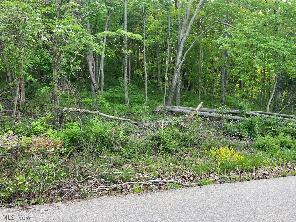 Martha Dr, Byesville, OH 43723