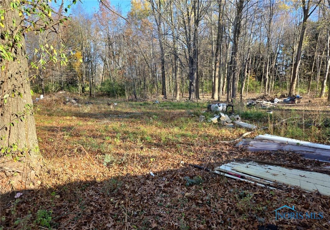 County Road F, Swanton, OH 43558