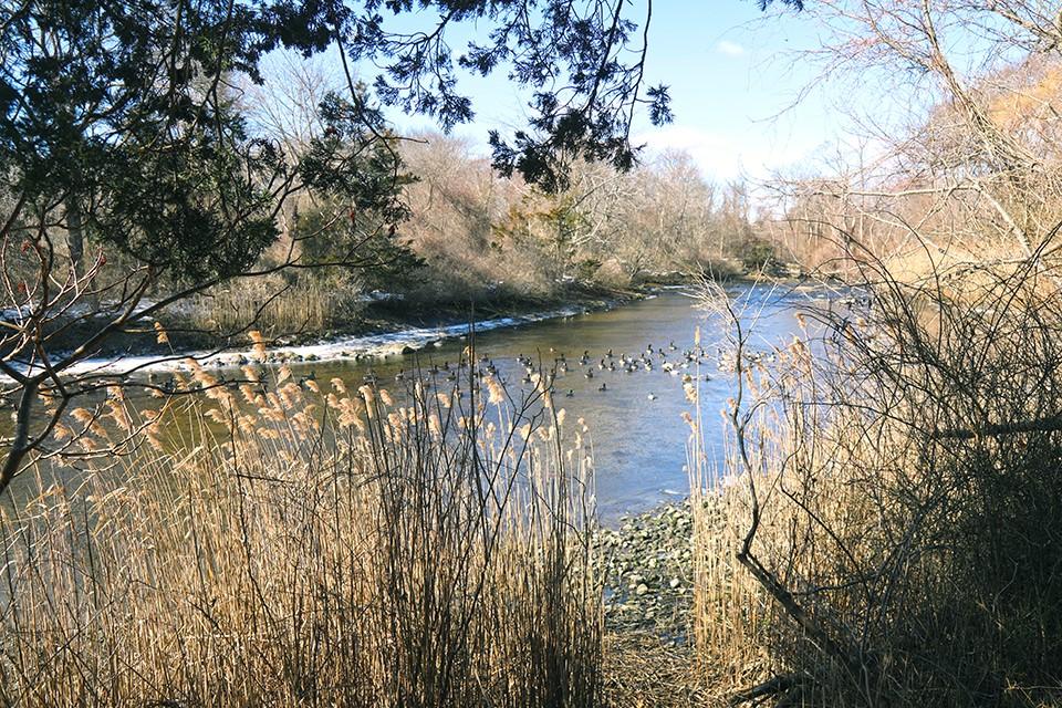 Bates Ave, North Kingstown, RI 02852