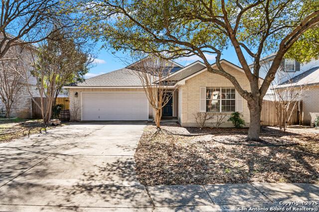 Stable Farm, San Antonio, TX 78249