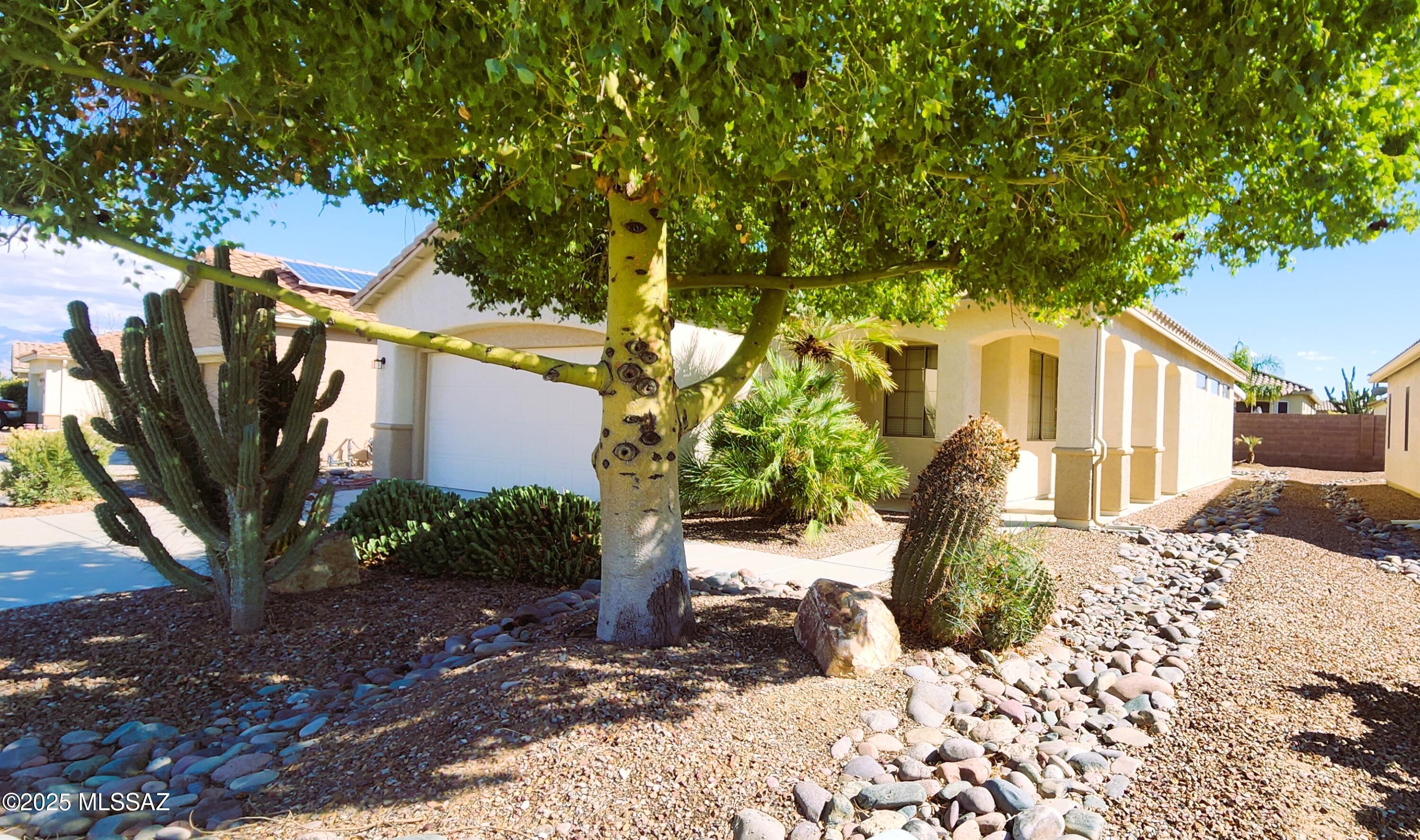 W Blue Heron Way, Tucson, AZ 85743