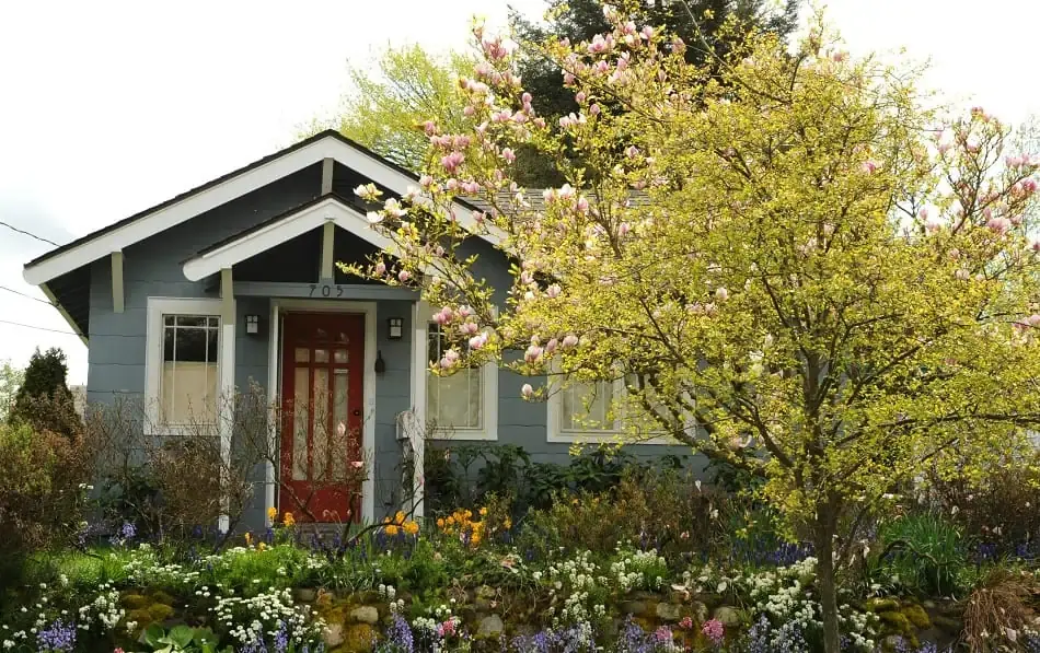 Beautiful house in the country